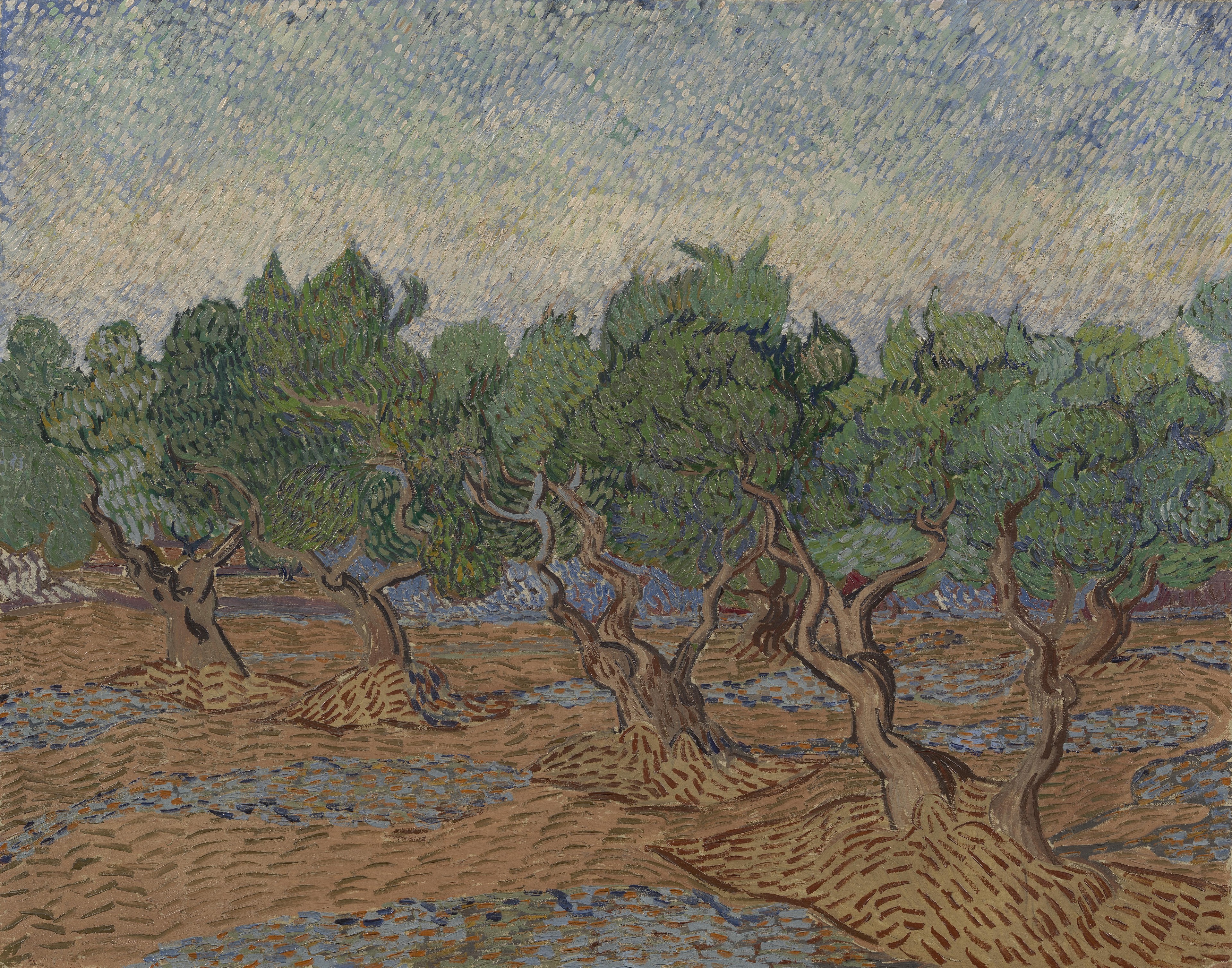 Van Gogh Olive Groves
