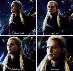 1d14dc87060b176c6040ed1c02ee74fa